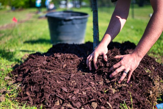 Mulch Calculator Mulch Calculator